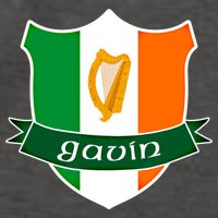 Gavin Name Irish Gift Irish Flag Harp Crest Vector Backpack