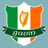 Gavin Name Irish Gift Irish Flag Harp Crest Sueded Cloud Jersey T-Shirt