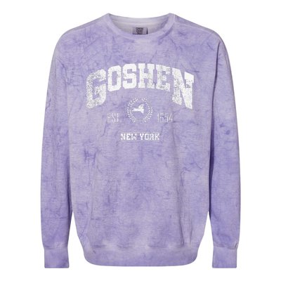 Goshen Ny New York Vintage Throwback Colorblast Crewneck Sweatshirt