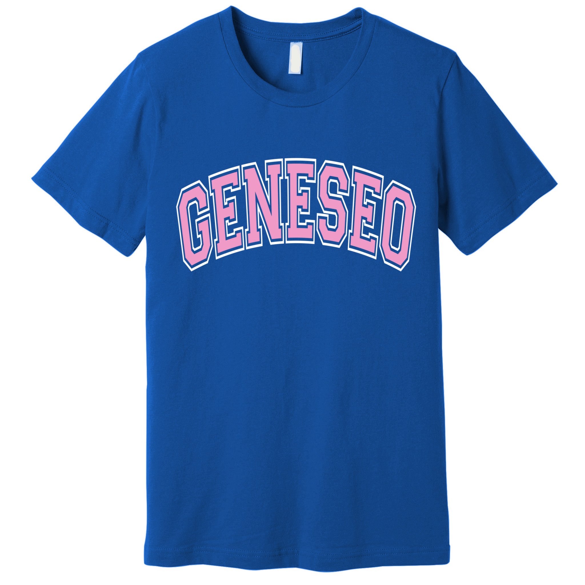 Geneseo Ny New York Varsity Style Pink Text Meaningful Gift Premium T-Shirt
