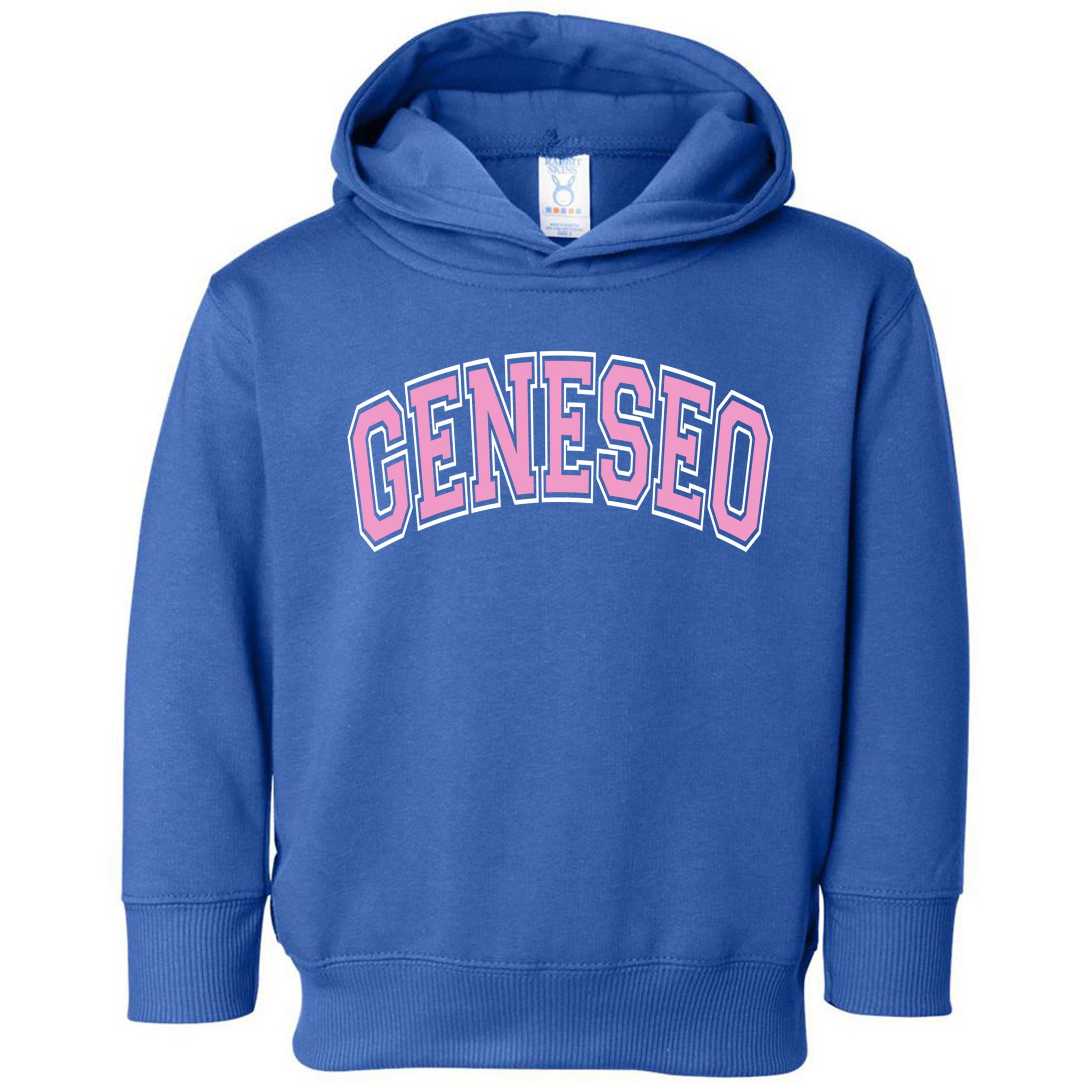 Geneseo Ny New York Varsity Style Pink Text Meaningful Gift Toddler Hoodie
