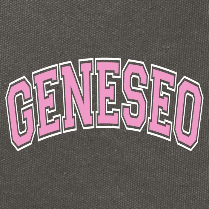Geneseo Ny New York Varsity Style Pink Text Meaningful Gift Cotton Canvas Backpack