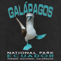 Galapagos National Park Ecuador Blue Footed Boobies Keepsake Adult Drive Performance Visor