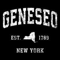 Geneseo New York Ny Vintage Athletic Womens Tank Top