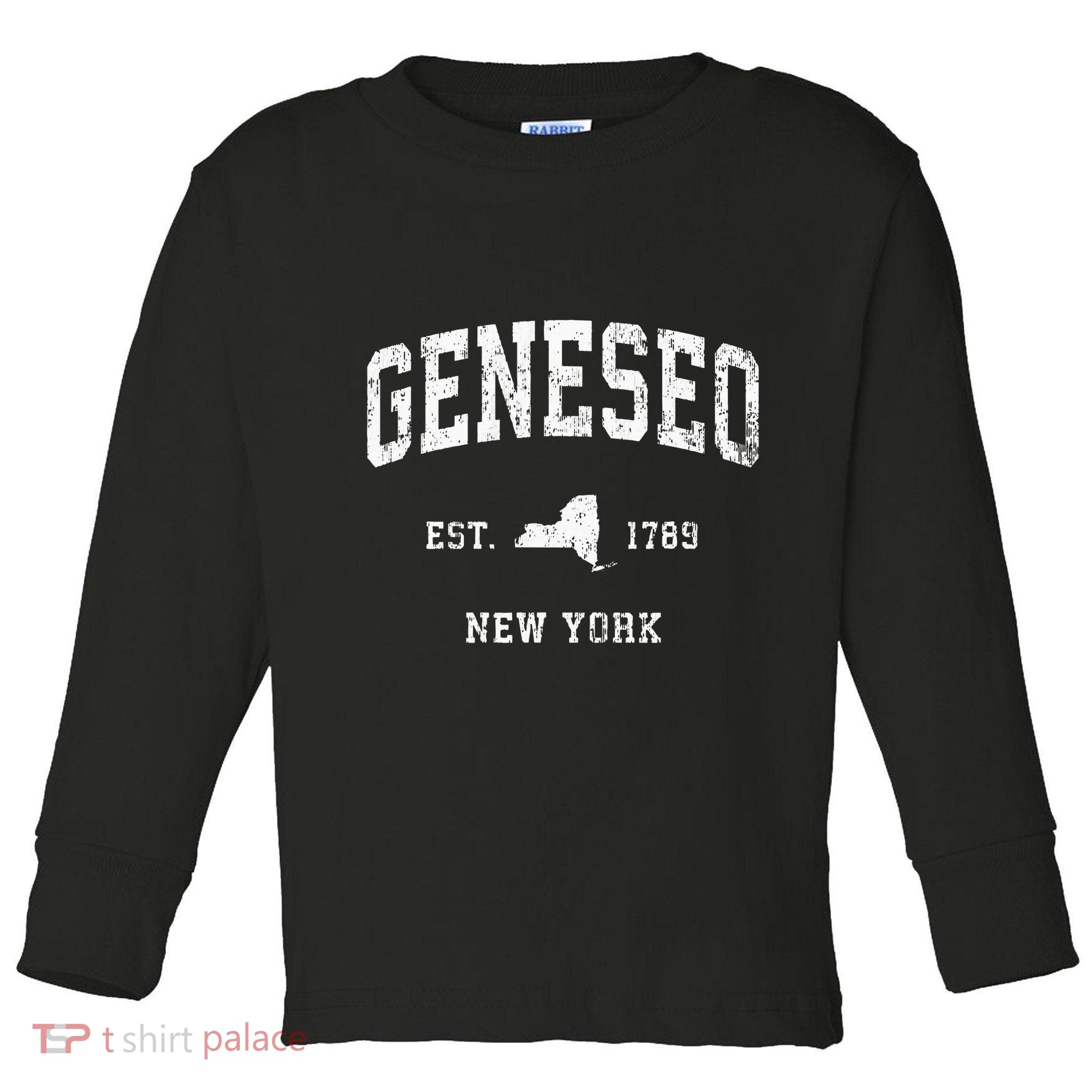 Geneseo New York Ny Vintage Athletic Toddler Long Sleeve Shirt