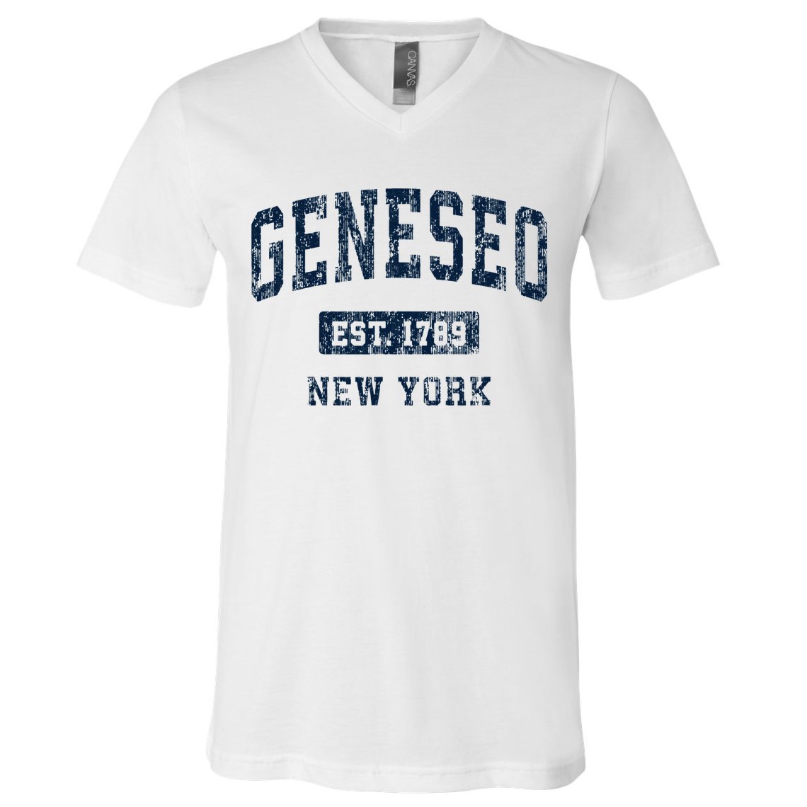 Geneseo New York Ny Vintage Athletic Sports Design V-Neck T-Shirt