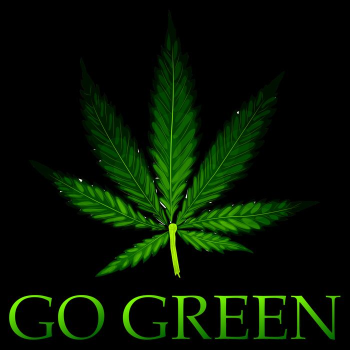 Go Green Medical Marijuana Weed Premium T-Shirt