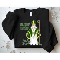 Go Home Snakes Your Drunk St Patrick's Sweatshirt