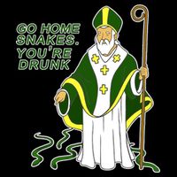 Go Home Snakes Your Drunk St Patrick's Sweatshirt