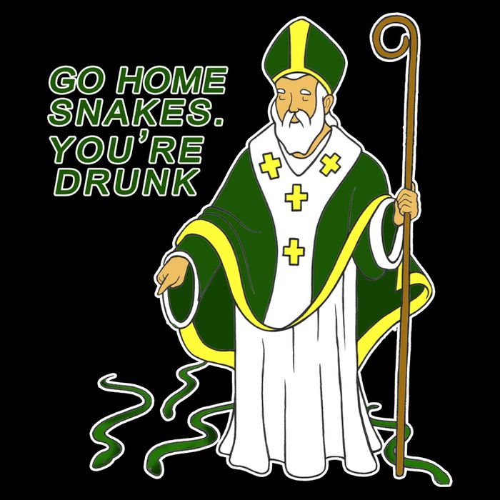 Go Home Snakes Your Drunk St Patrick's Sweatshirt
