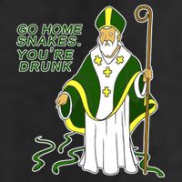 Go Home Snakes Your Drunk St Patrick's Adult Drive Performance Visor