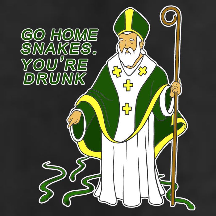 Go Home Snakes Your Drunk St Patrick's Adult Drive Performance Visor