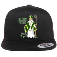 Go Home Snakes Your Drunk St Patrick's Flatbill Hat