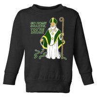 Go Home Snakes Your Drunk St Patrick's Toddler Sweatshirt