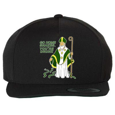 Go Home Snakes Your Drunk St Patrick's Wool Snapback Cap