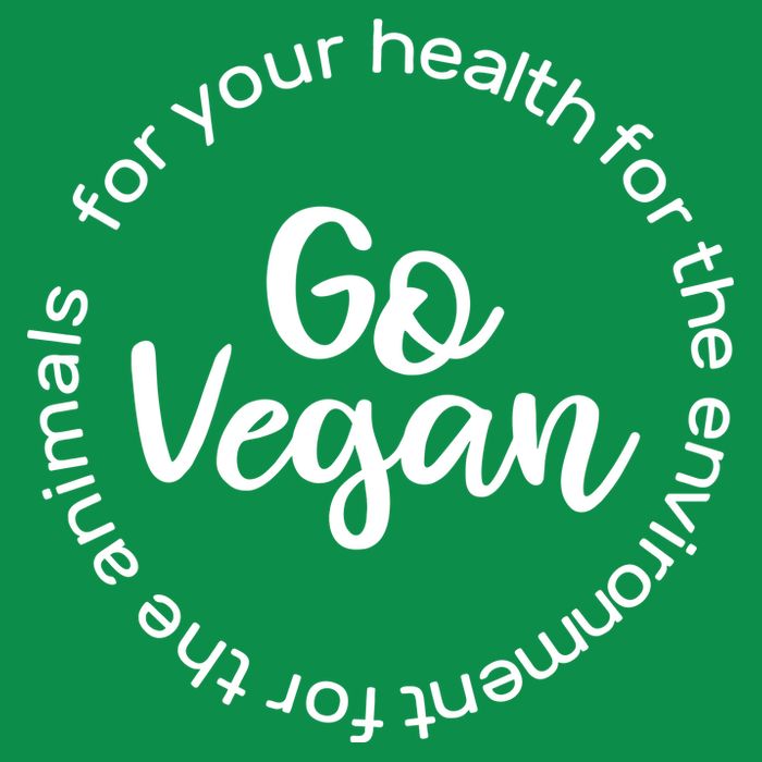 Go Vegan For Life Hoodie