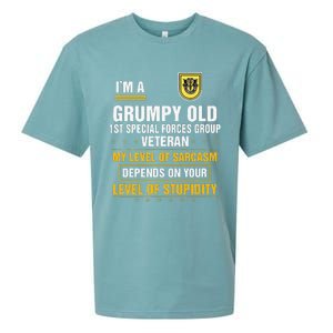 Grumpy Old 1st Special Forces Group Veteran Father Day Sueded Cloud Jersey T-Shirt