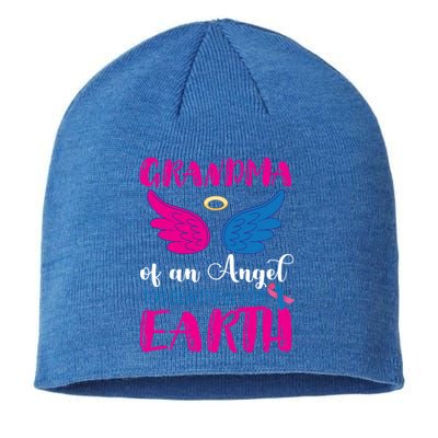 Grandma Of An Angel Miscarriage Awareness Infant Loss Gift Sustainable Beanie