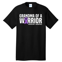 Grandma of a Warrior NICU Prematurity Awareness Tall T-Shirt