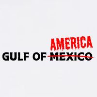 Gulf Of America! Trump / Vance Hat