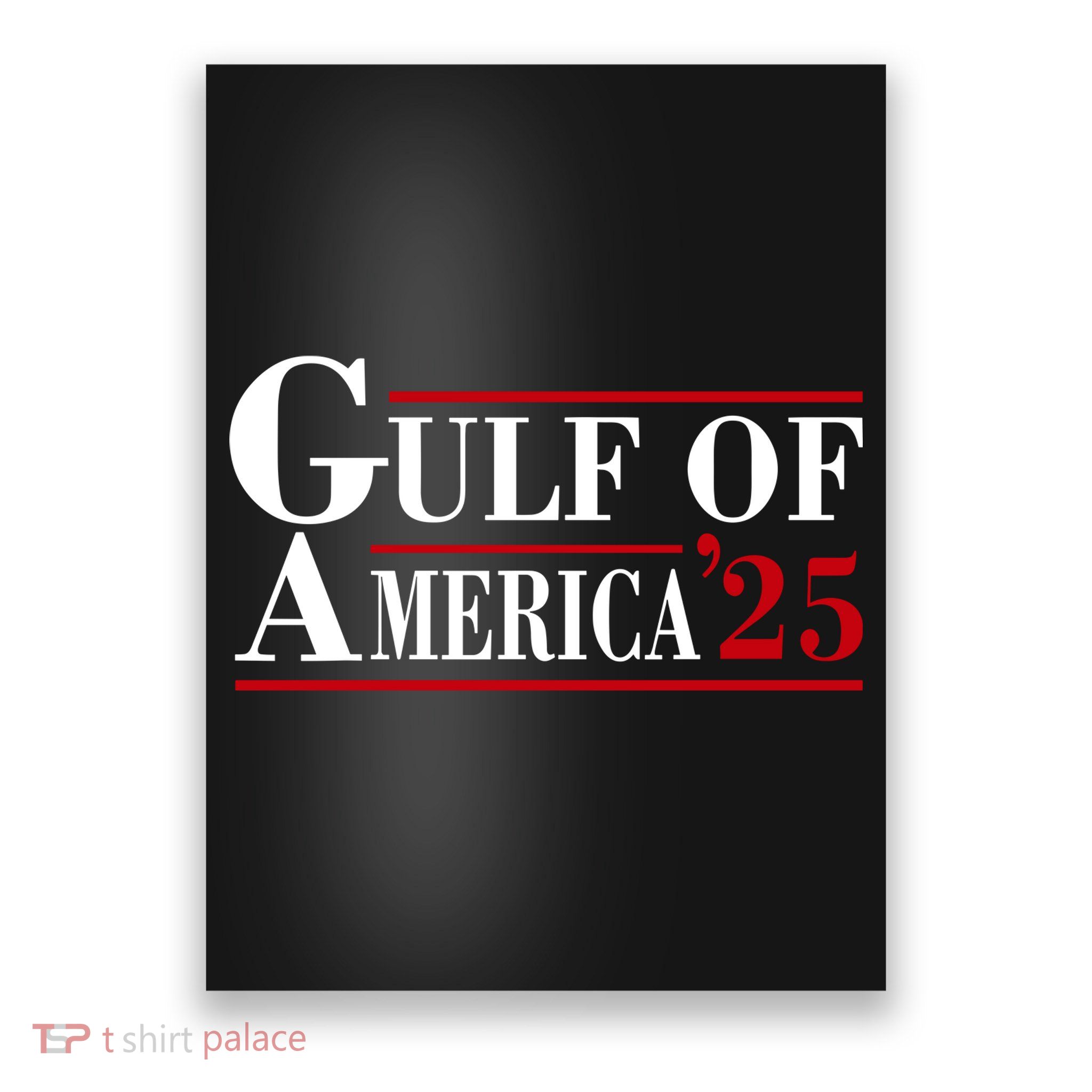 Gulf Of America Poster