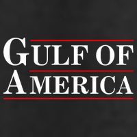 Gulf Of America 11oz C Handle Ceramic Mug