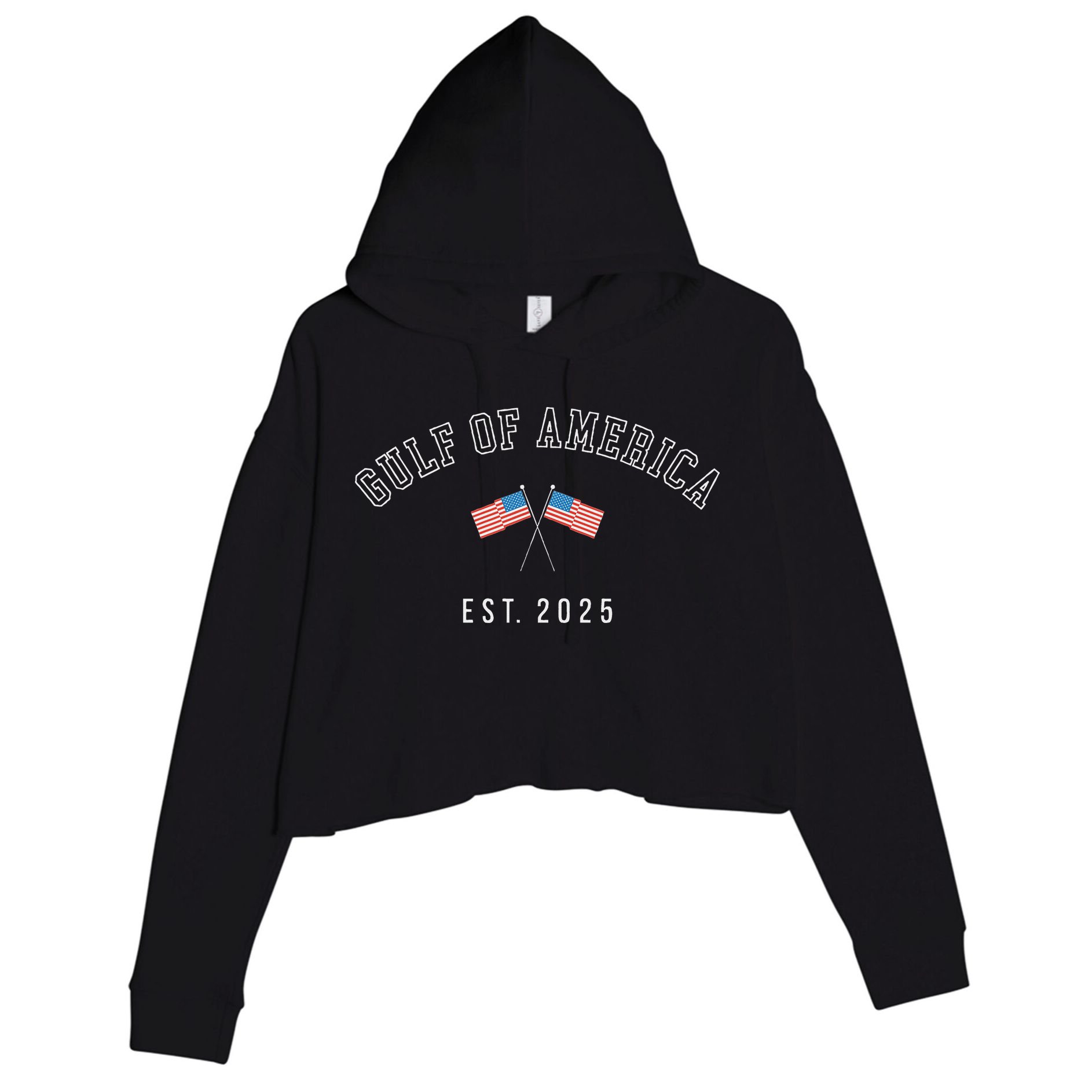 Gulf Of America Est.2025 Crop Fleece Hoodie