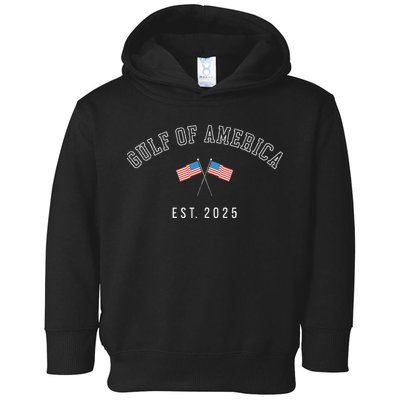 Gulf Of America Est.2025 Toddler Hoodie