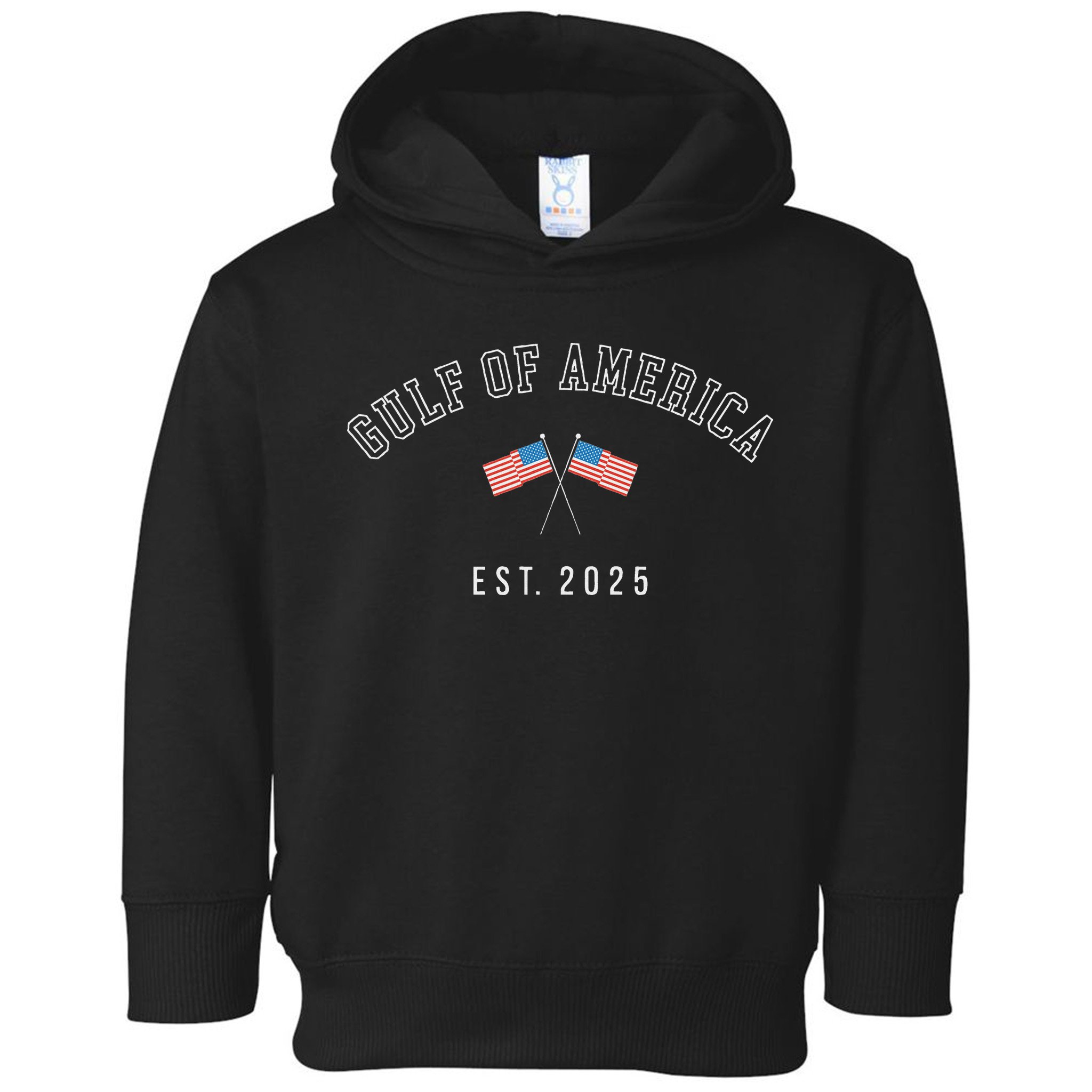 Gulf Of America Est.2025 Toddler Hoodie