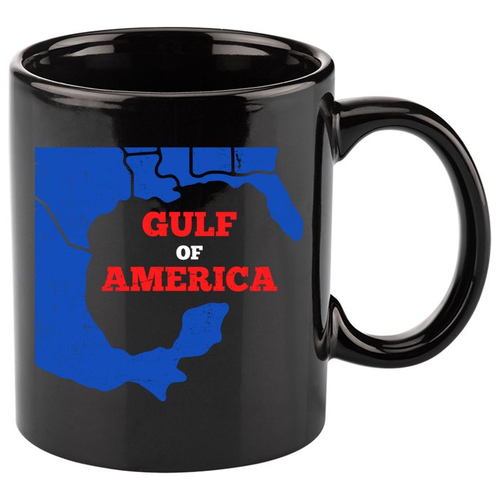 Gulf Of America Map 11oz C Handle Ceramic Mug