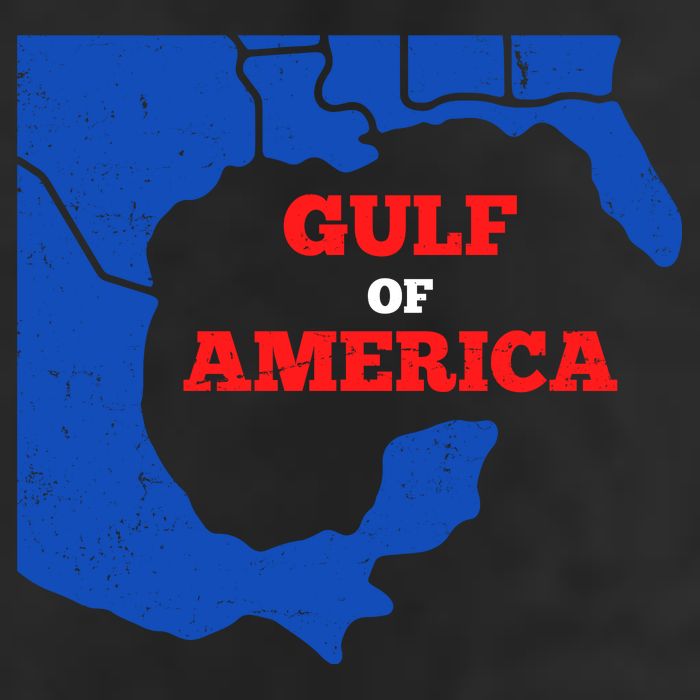 Gulf Of America Map 11oz C Handle Ceramic Mug