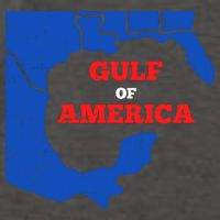 Gulf Of America Map Vector Backpack