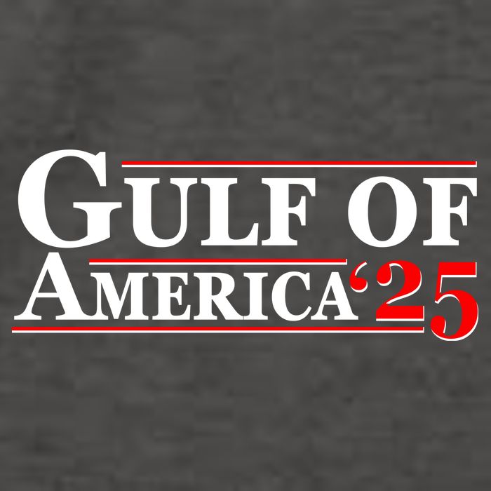 Gulf Of American 2025 Vector Backpack