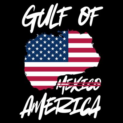 Gulf Of America Not Mexico T-Shirt