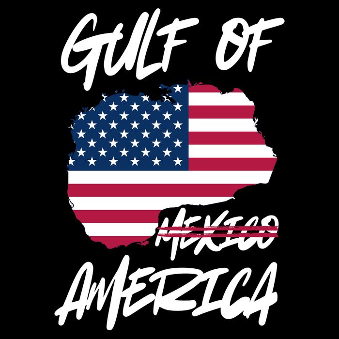 Gulf Of America Not Mexico Bag
