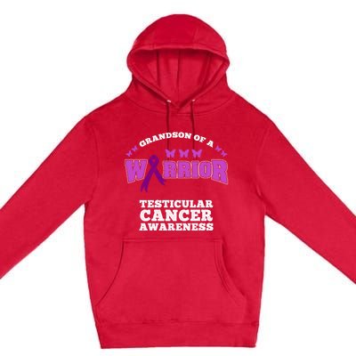 Grandson Of A Warrior Testicular Cancer Awareness Funny Gift Premium Pullover Hoodie