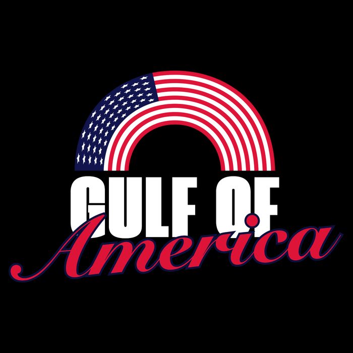Gulf Of America Funny Gulf Backpack