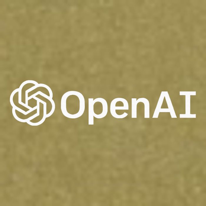 Geeky Openai Artificial Intelligence Computer Programmer Garment-Dyed Women's Muscle Tee