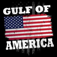 Gulf Of America Vintage American Flag Flatbill Hat