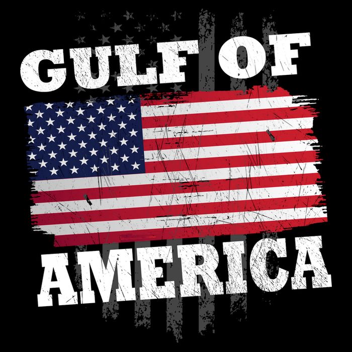 Gulf Of America Vintage American Flag Flatbill Hat