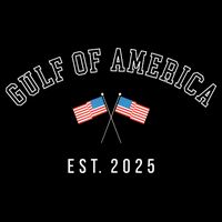 Gulf Of America Est 2025 Womens Tank Top