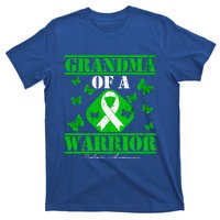 Grandma Of A Scoliosis Warrior Vintage Scoliosis Awareness Gift T-Shirt