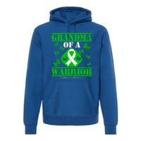 Grandma Of A Scoliosis Warrior Vintage Scoliosis Awareness Gift Premium Hoodie