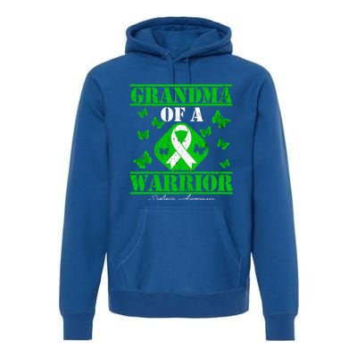 Grandma Of A Scoliosis Warrior Vintage Scoliosis Awareness Gift Premium Hoodie