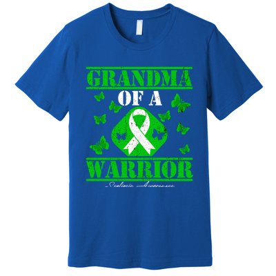 Grandma Of A Scoliosis Warrior Vintage Scoliosis Awareness Gift Premium T-Shirt