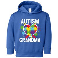 Grandma Of A Warrior Proud Grandma Autism Cute Gift Toddler Hoodie