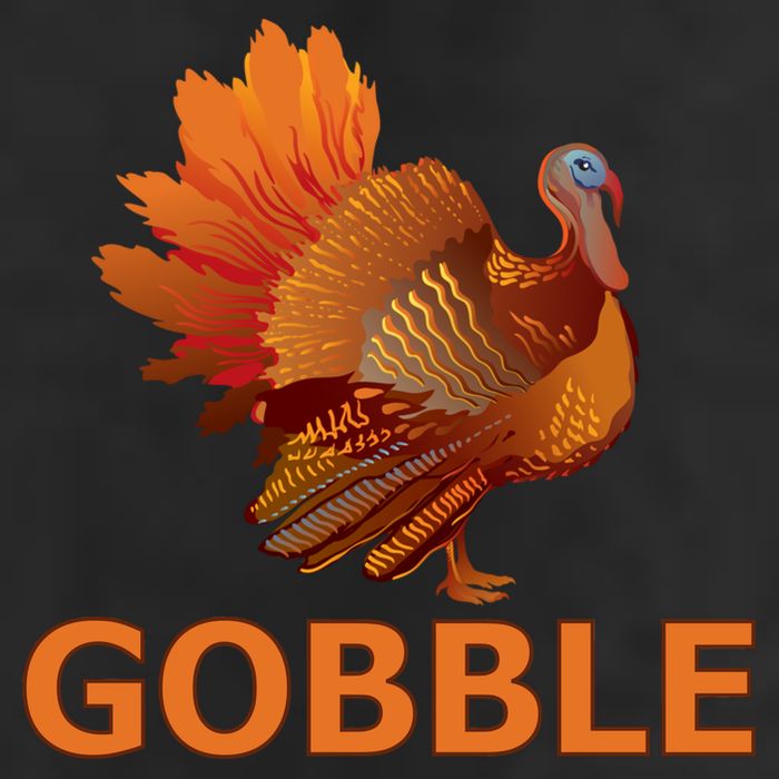 Gobble Turkey Thanksgiving 11oz C Handle Ceramic Mug
