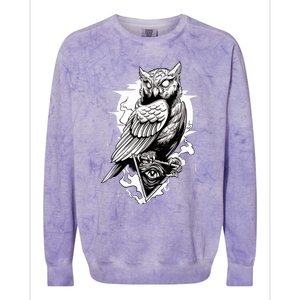 Goth Owl Design, Spooky Owl Design, Cool Owl, Owl Colorblast Crewneck Sweatshirt