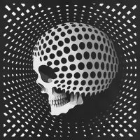 Graphic Optical Illusion Skull Adult Drive Performance Visor