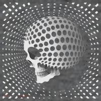 Graphic Optical Illusion Skull Short Acrylic Beanie